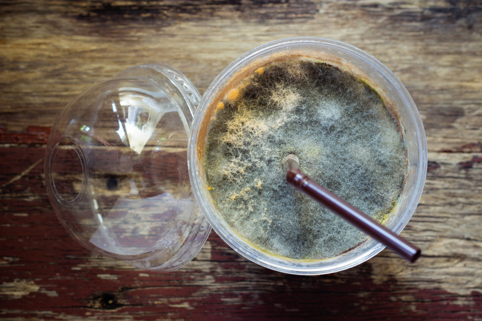 Gravy Growing Many Types of Mould and Fungus Inside Blue Coffee